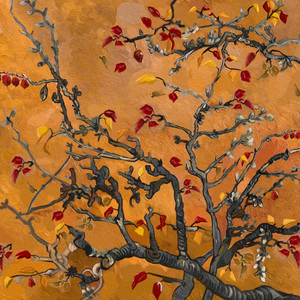 污视频在线网站
