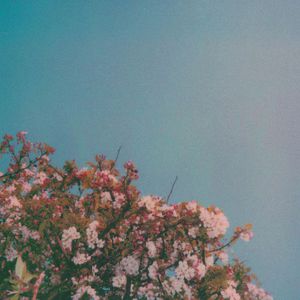 污视频在线网站
