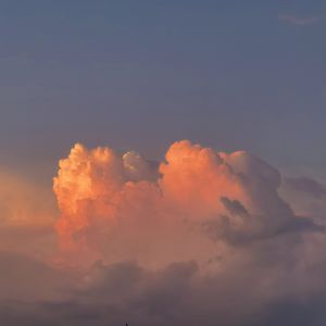 污视频在线网站
